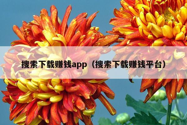 搜索下载赚钱app(搜索下载赚钱平台)
