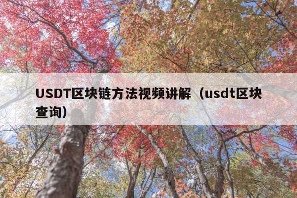 USDT区块链方法视频讲解(usdt区块查询)