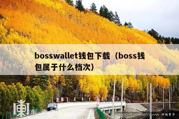 bosswallet钱包下载(boss钱包属于什么档次)