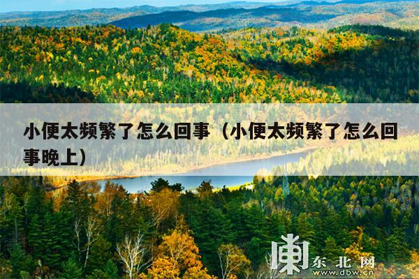 小便太频繁了怎么回事(小便太频繁了怎么回事晚上)