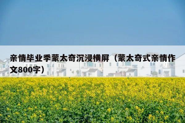 亲情毕业季蒙太奇沉浸横屏(蒙太奇式亲情作文800字)