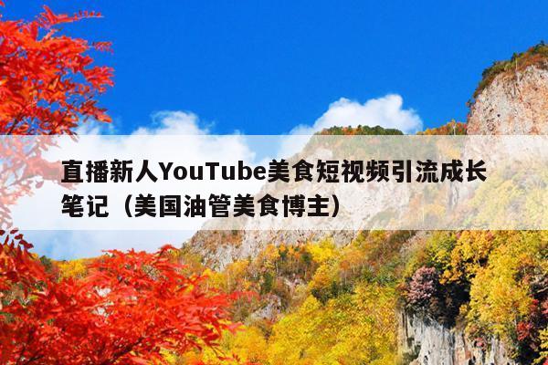 直播新人YouTube美食短视频引流成长笔记(美国油管美食博主)