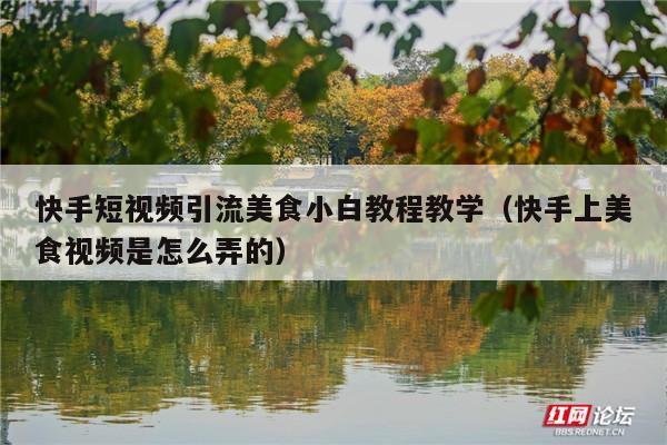 快手短视频引流美食小白教程教学(快手上美食视频是怎么弄的)