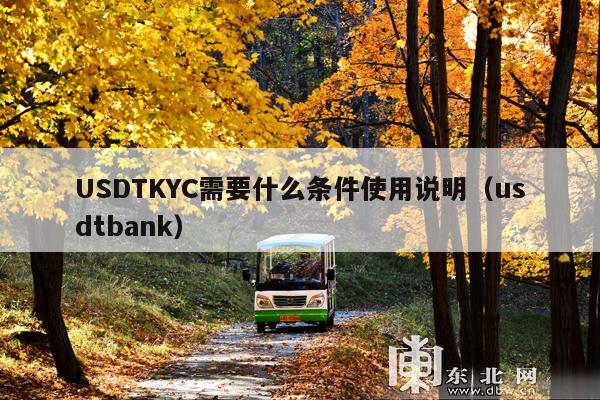 USDTKYC需要什么条件使用说明(usdtbank)