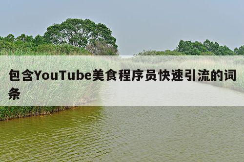 包含YouTube美食程序员快速引流的词条