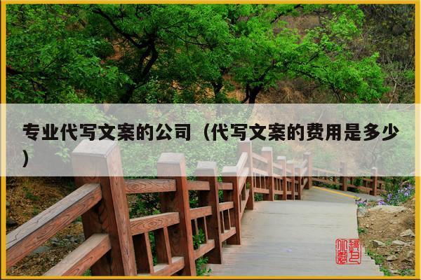 专业代写文案的公司(代写文案的费用是多少)