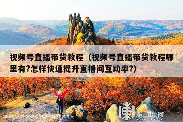 视频号直播带货教程(视频号直播带货教程哪里有?怎样快速提升直播间互动率?)