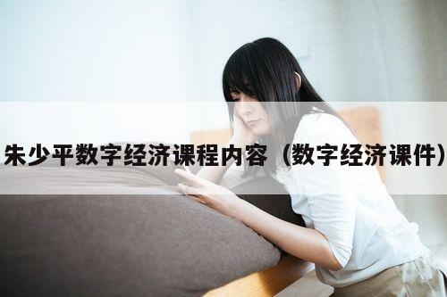 朱少平数字经济课程内容(数字经济课件)
