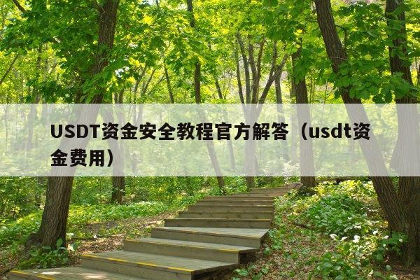 USDT资金安全教程官方解答(usdt资金费用)