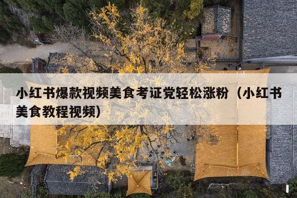 小红书爆款视频美食考证党轻松涨粉(小红书美食教程视频)