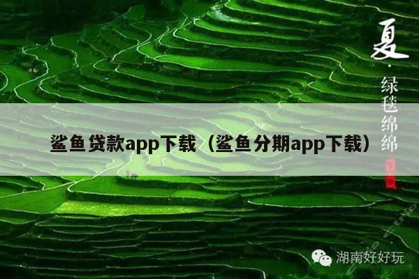 鲨鱼贷款app下载(鲨鱼分期app下载)