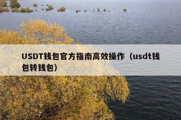 USDT钱包官方指南高效操作(usdt钱包转钱包)