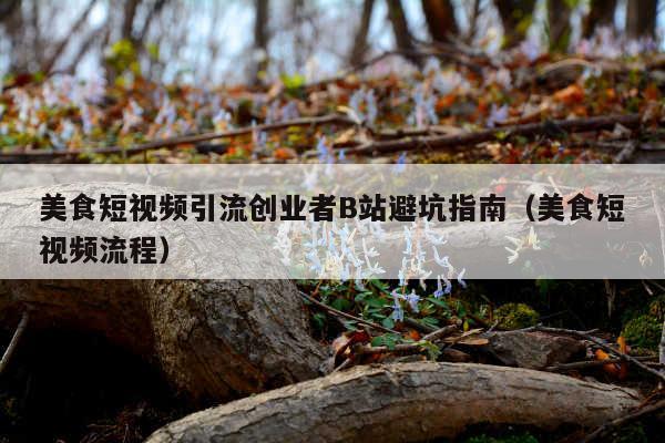 美食短视频引流创业者B站避坑指南(美食短视频流程)