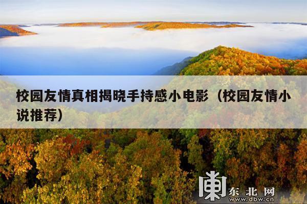 校园友情真相揭晓手持感小电影(校园友情小说推荐)