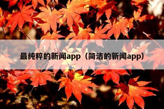 最纯粹的新闻app(简洁的新闻app)