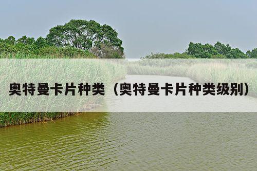 奥特曼卡片种类(奥特曼卡片种类级别)