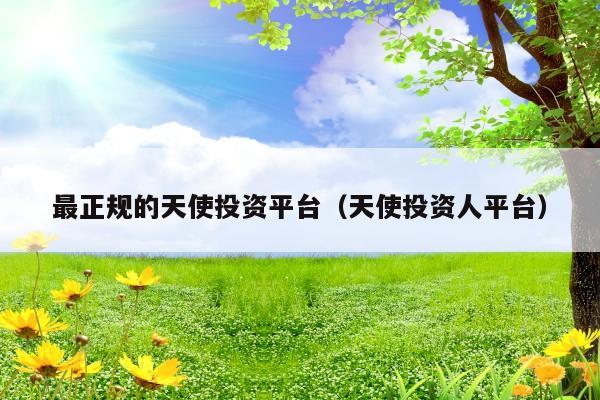 最正规的天使投资平台(天使投资人平台)