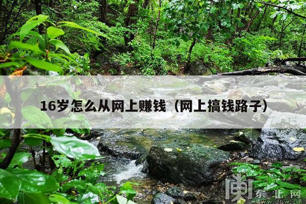 16岁怎么从网上赚钱(网上搞钱路子)