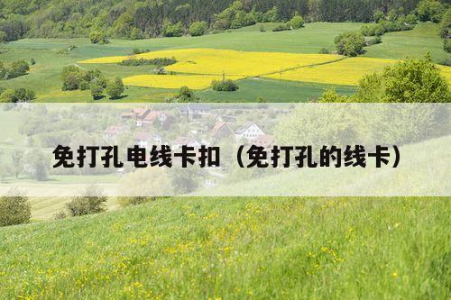 免打孔电线卡扣(免打孔的线卡)