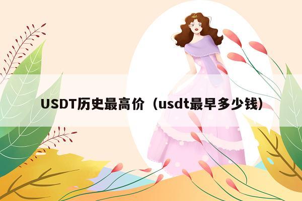 USDT历史最高价(usdt最早多少钱)