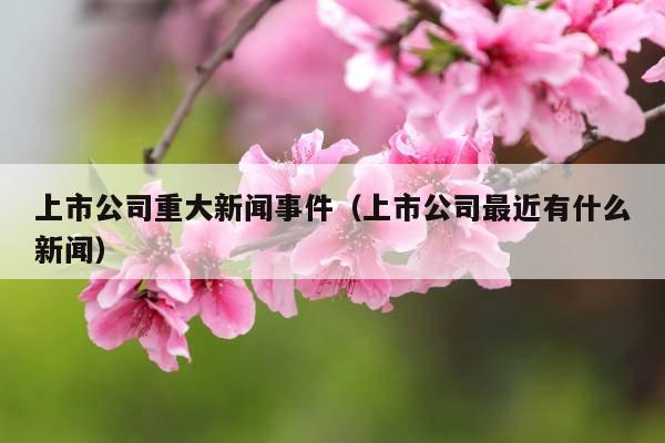 上市公司重大新闻事件(上市公司最近有什么新闻)