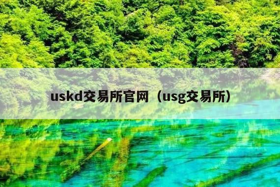 uskd交易所官网(usg交易所)
