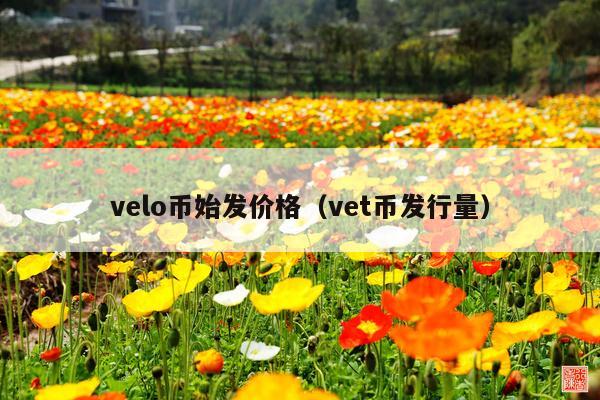 velo币始发价格(vet币发行量)