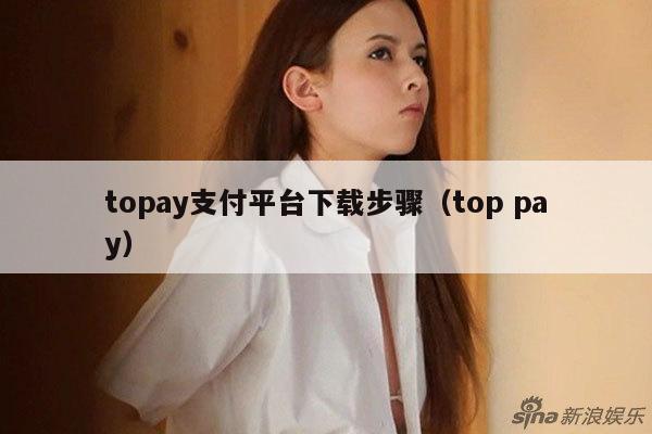 topay支付平台下载步骤(top pay)