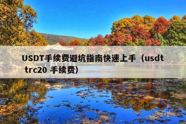 USDT手续费避坑指南快速上手(usdt trc20 手续费)