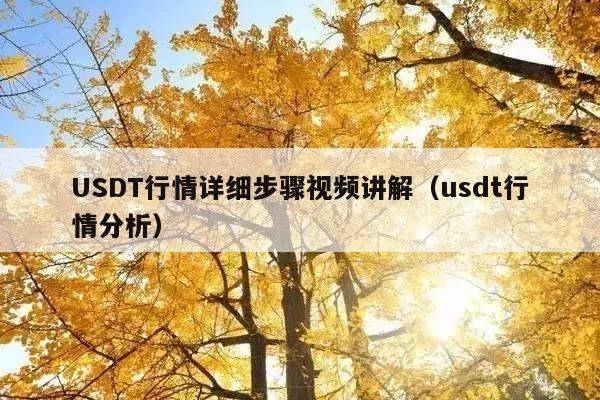 USDT行情详细步骤视频讲解(usdt行情分析)