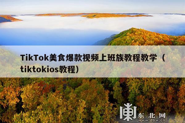 TikTok美食爆款视频上班族教程教学(tiktokios教程)