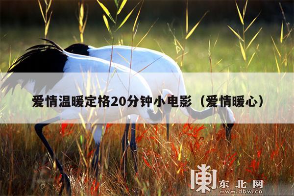 爱情温暖定格20分钟小电影(爱情暖心)