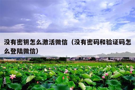 没有密钥怎么激活微信(没有密码和验证码怎么登陆微信)