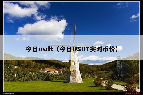 今日usdt(今日USDT实时币价)