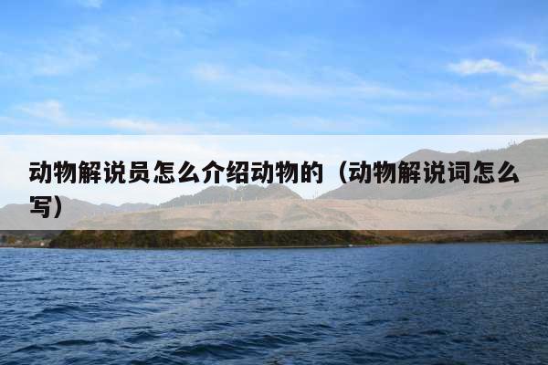 动物解说员怎么介绍动物的(动物解说词怎么写)