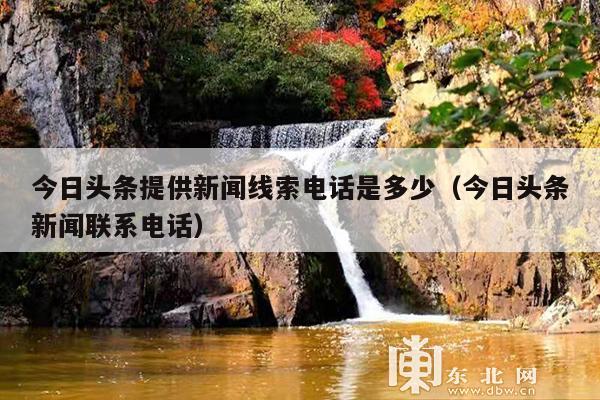 今日头条提供新闻线索电话是多少(今日头条新闻联系电话)