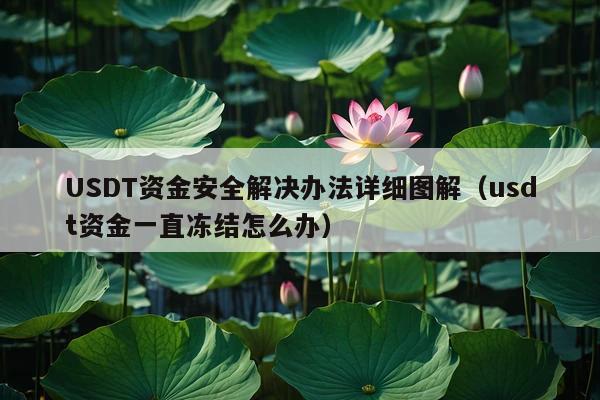 USDT资金安全解决办法详细图解(usdt资金一直冻结怎么办)