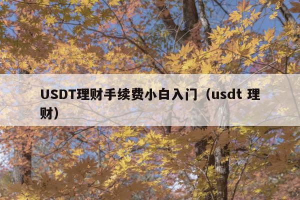 USDT理财手续费小白入门(usdt 理财)