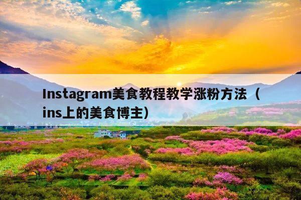 Instagram美食教程教学涨粉方法(ins上的美食博主)
