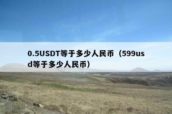 0.5USDT等于多少人民币(599usd等于多少人民币)