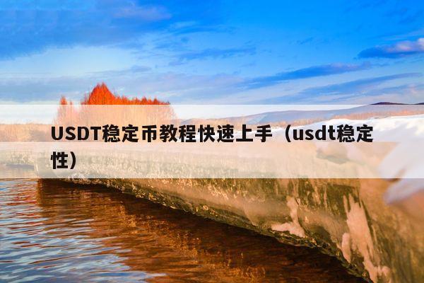 USDT稳定币教程快速上手(usdt稳定性)