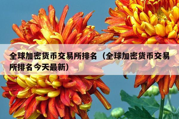 全球加密货币交易所排名(全球加密货币交易所排名今天最新)