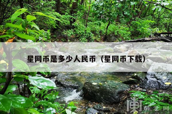 星网币是多少人民币(星网币下载)