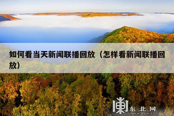 如何看当天新闻联播回放(怎样看新闻联播回放)