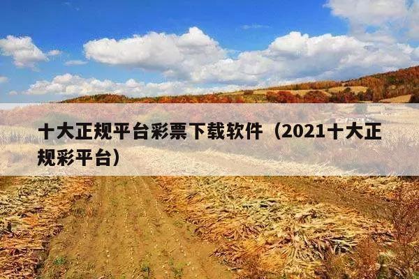 十大正规平台彩票下载软件(2021十大正规彩平台)