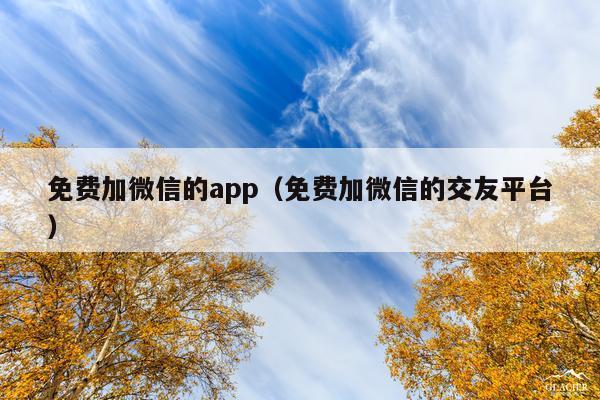 免费加微信的app(免费加微信的交友平台)