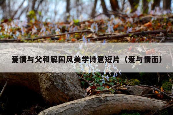 爱情与父和解国风美学诗意短片(爱与情面)