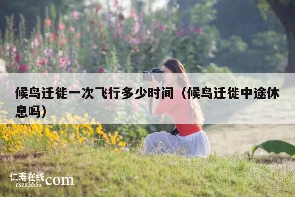 候鸟迁徙一次飞行多少时间(候鸟迁徙中途休息吗)