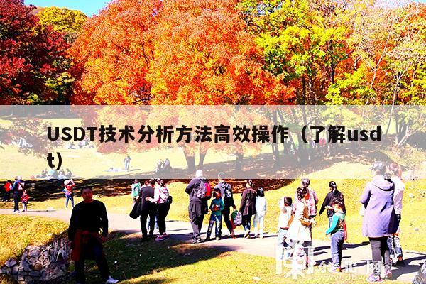 USDT技术分析方法高效操作(了解usdt)