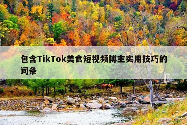 包含TikTok美食短视频博主实用技巧的词条